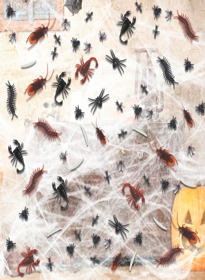 Junware 210 Pcs Realistic Bugs Trick Joke Toys Cockroaches Spiders Centipedes Scorpions Worms Ant Flies for Halloween Party Fool's Day Decoration - Image 5